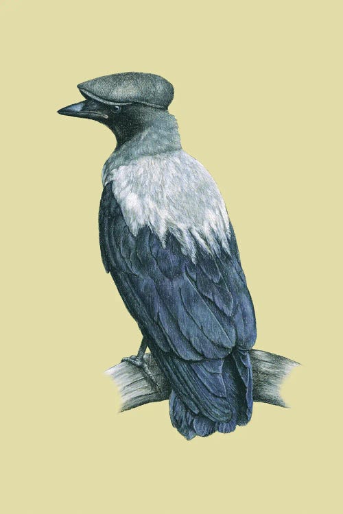 Hooded Crow by Mikhail Vedernikov wall art