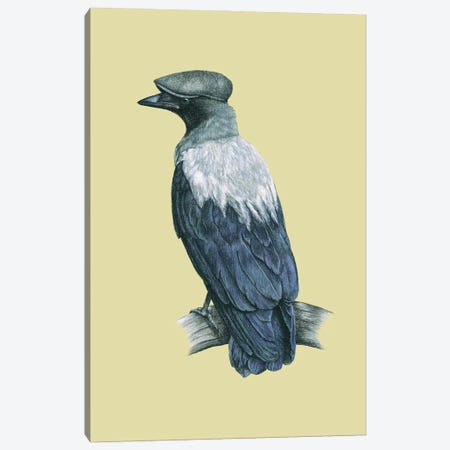 Hooded Crow Canvas Print #MIV51} by Mikhail Vedernikov Canvas Art Print