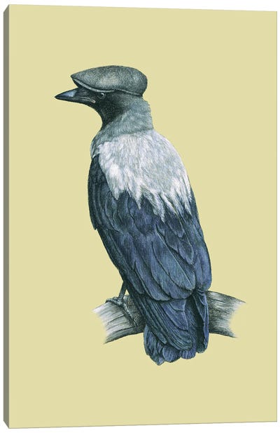 Hooded Crow Canvas Art Print - Crow Art