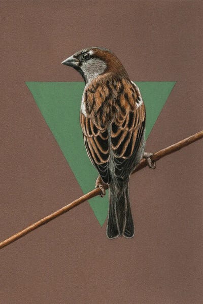 House Sparrow by Mikhail Vedernikov art print