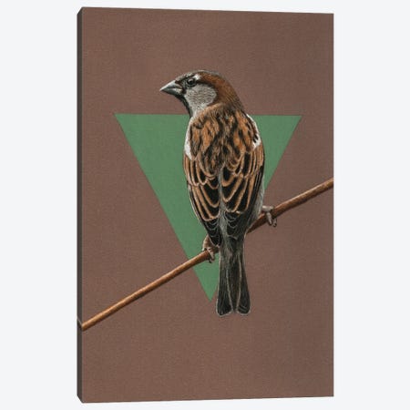 House Sparrow Canvas Print #MIV52} by Mikhail Vedernikov Art Print