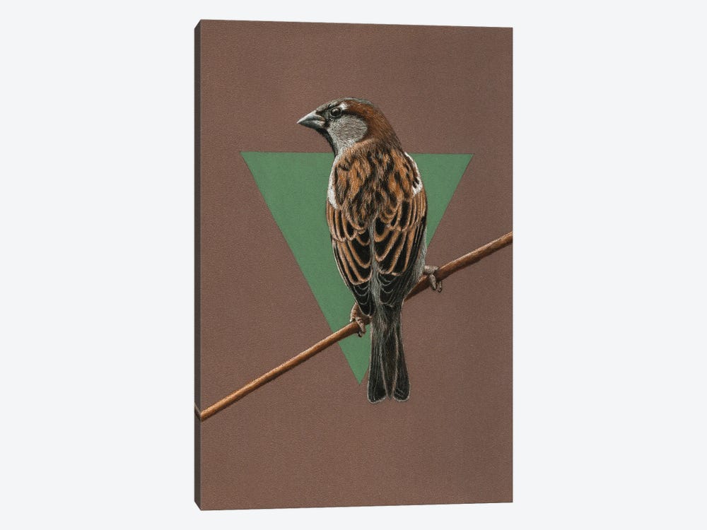 House Sparrow by Mikhail Vedernikov 1-piece Canvas Art