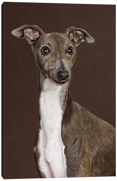 Italian Greyhound Canvas Art Print - Mikhail Vedernikov