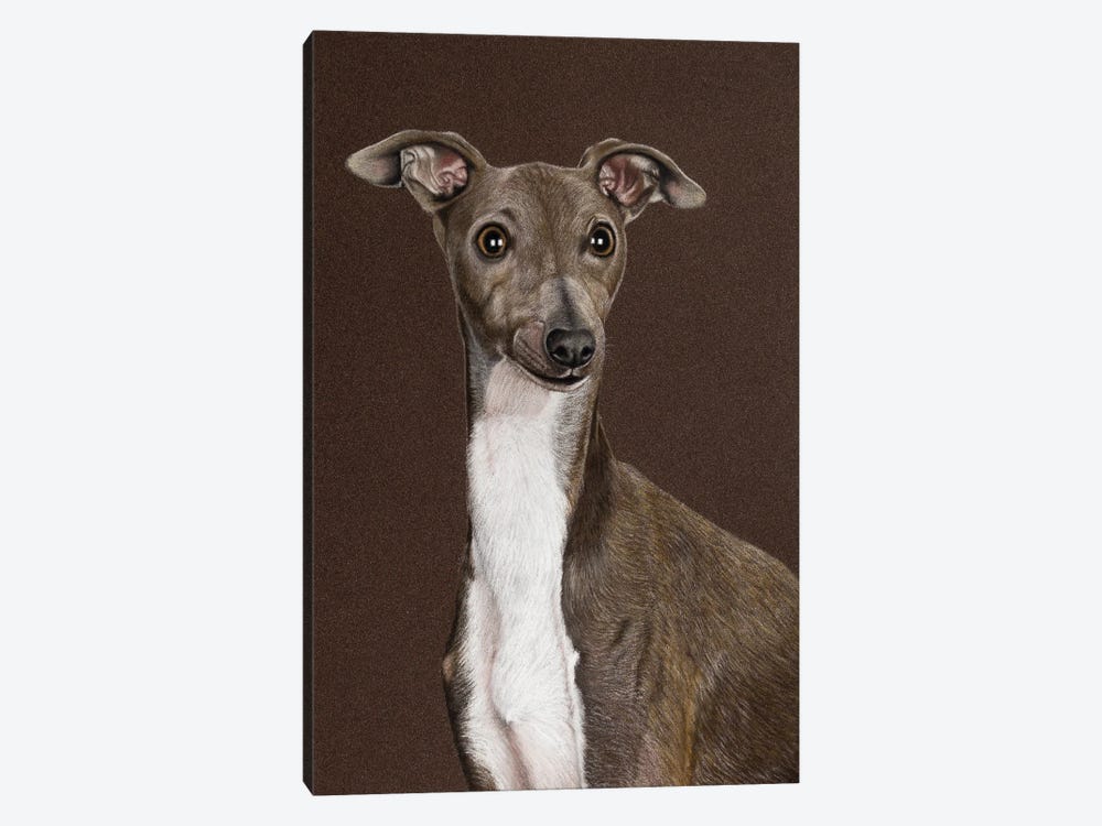 Italian Greyhound by Mikhail Vedernikov 1-piece Canvas Art Print