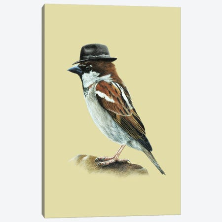 Italian Sparrow Canvas Print #MIV54} by Mikhail Vedernikov Canvas Wall Art