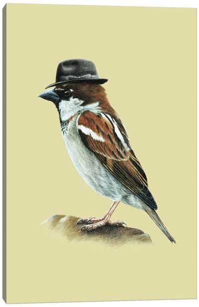 Italian Sparrow Canvas Art Print - Mikhail Vedernikov