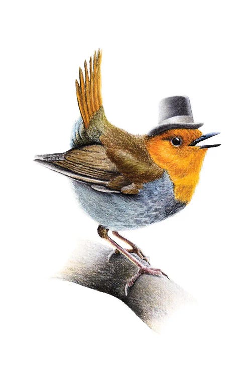 Japanese Robin