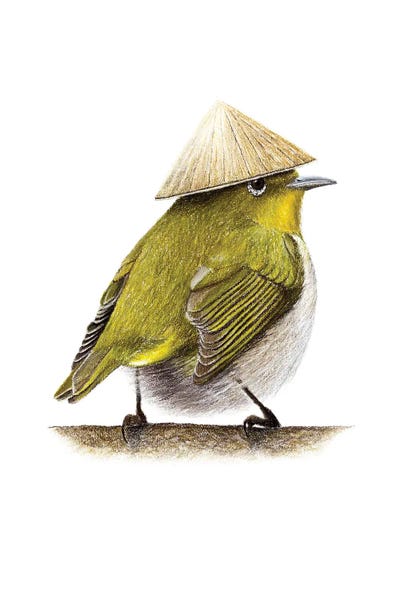 Japanese White-Eye