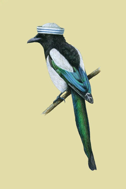 Magpie