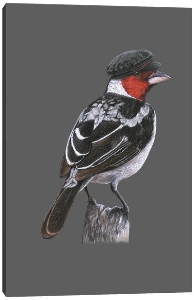 Red-Cowled Cardinal Canvas Art Print - Cardinal Art