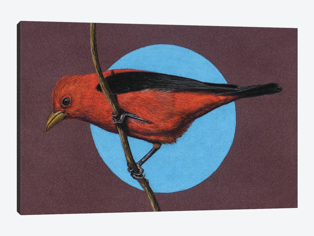 Scarlet Tanager by Mikhail Vedernikov 1-piece Canvas Art