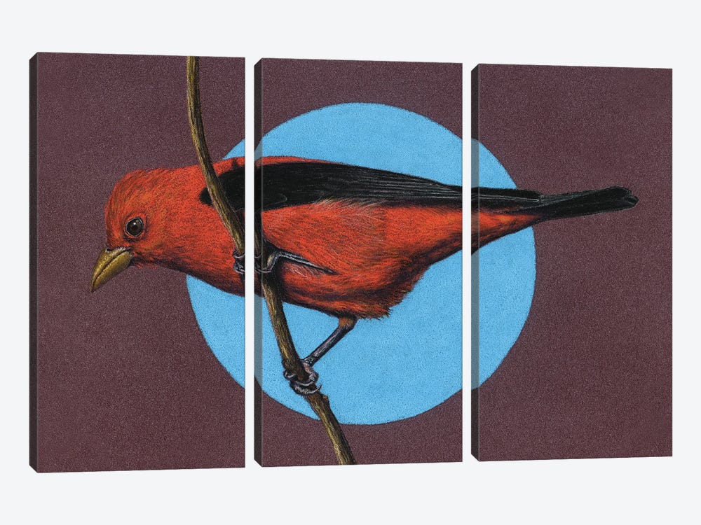 Scarlet Tanager by Mikhail Vedernikov 3-piece Canvas Art