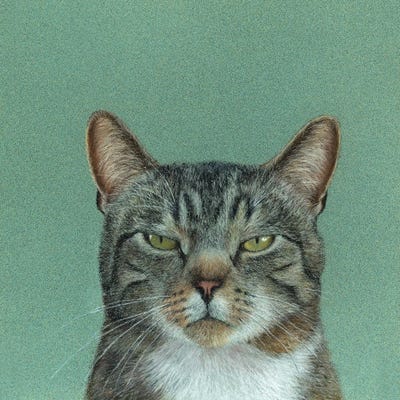 Severe Rick by Mikhail Vedernikov framed wall art