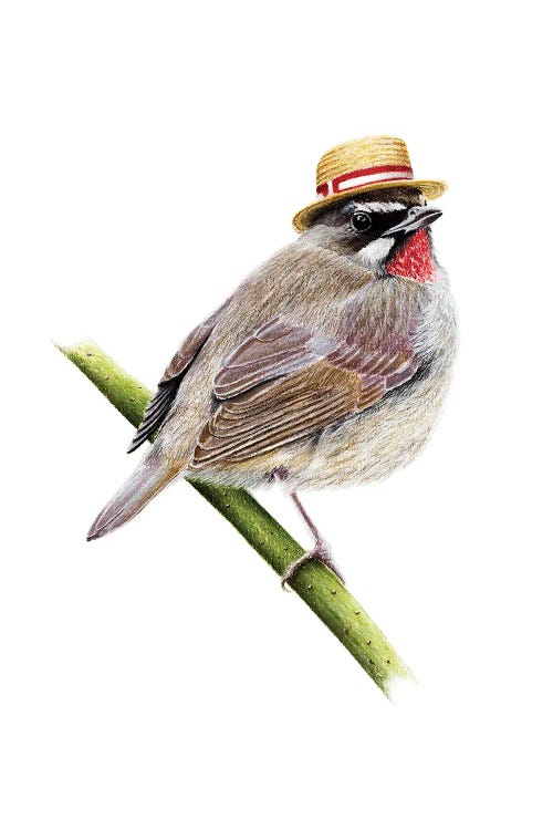 Siberian Rubythroat