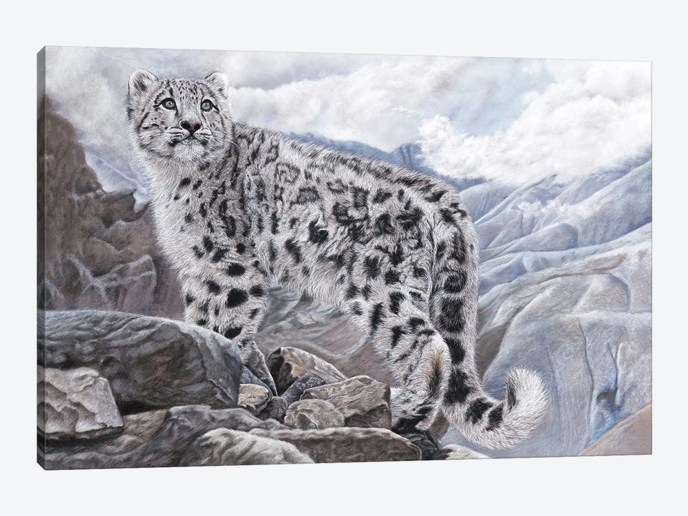 Snow Leopard by Mikhail Vedernikov 1-piece Art Print