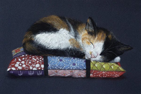 Sleeping & Napping: Sweet Sleep by Mikhail Vedernikov