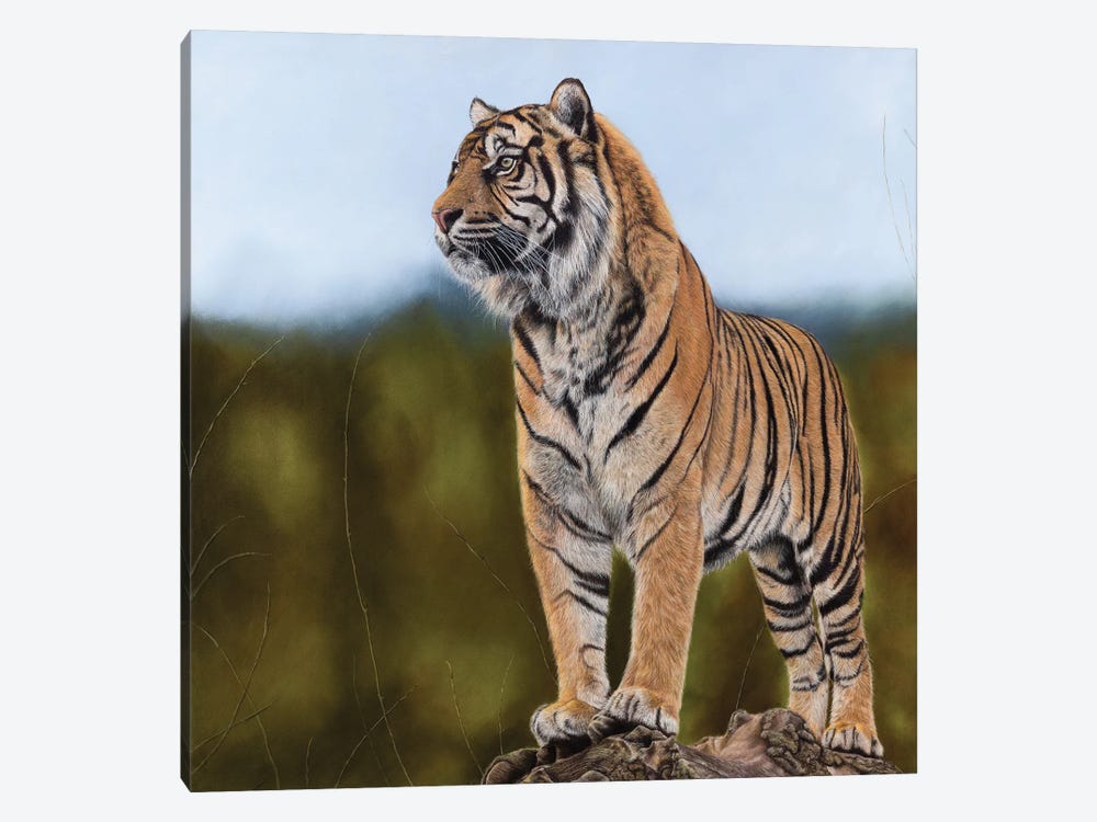 Tiger by Mikhail Vedernikov 1-piece Canvas Art Print