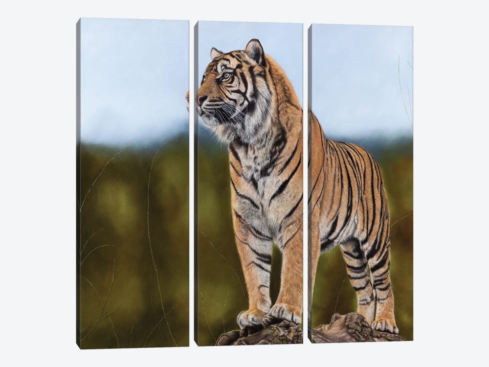 Tiger by Mikhail Vedernikov 3-piece Canvas Art Print