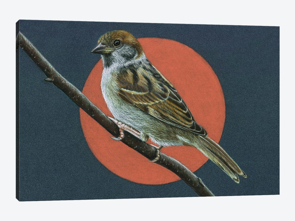 Tree Sparrow by Mikhail Vedernikov 1-piece Canvas Artwork