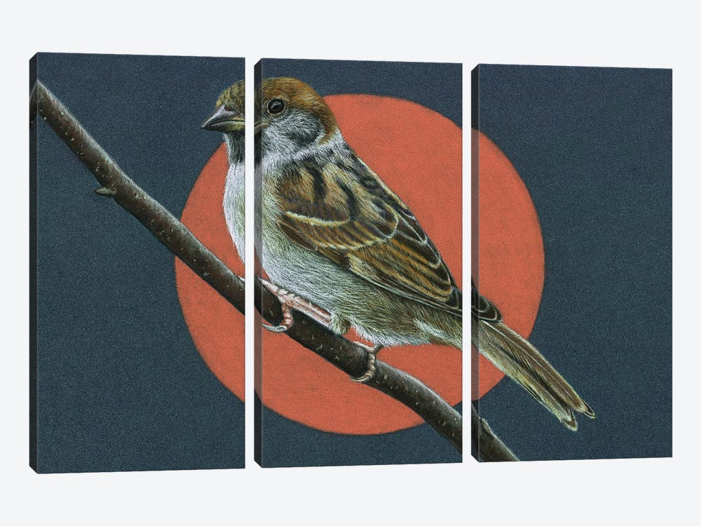 Tree Sparrow by Mikhail Vedernikov 3-piece Canvas Artwork