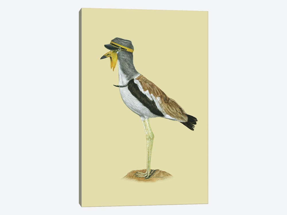 White-Crowned Lapwing 1-piece Canvas Art