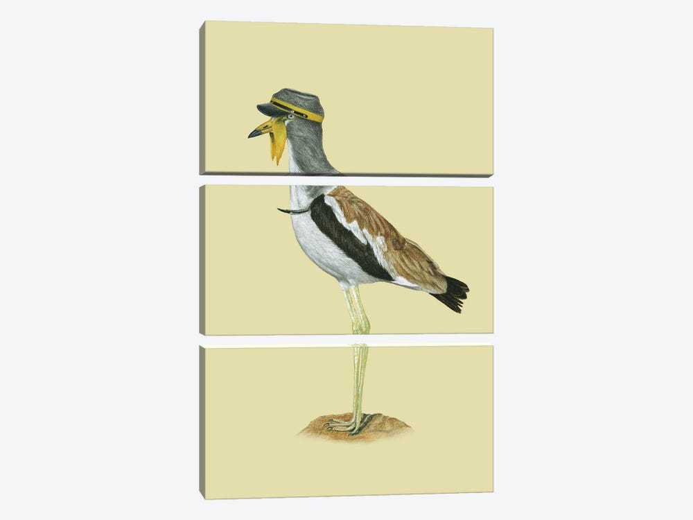White-Crowned Lapwing by Mikhail Vedernikov 3-piece Canvas Art