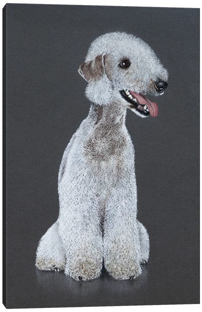 Bedlington Terrier Canvas Art Print