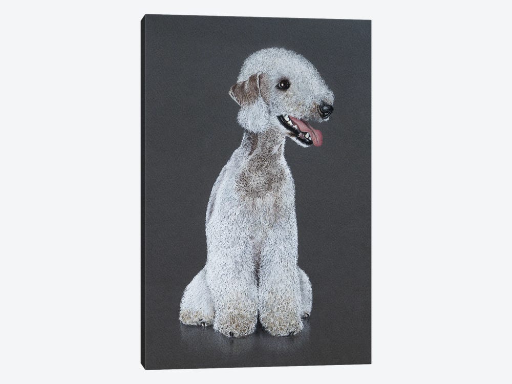 Bedlington Terrier by Mikhail Vedernikov 1-piece Canvas Wall Art