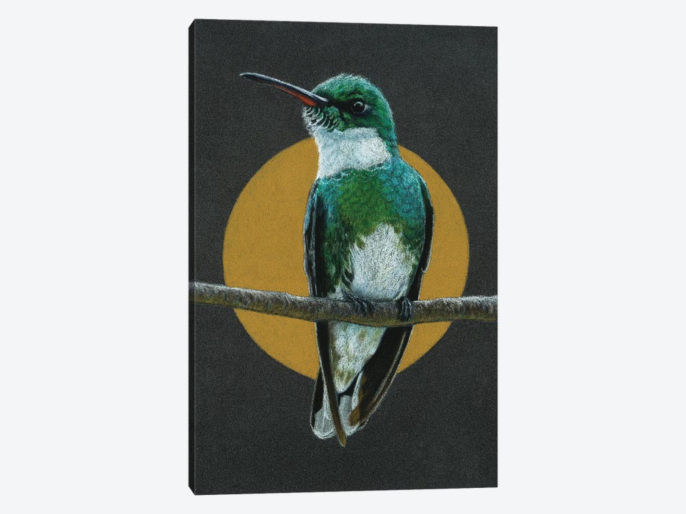 White-Throated Hummingbird by Mikhail Vedernikov 1-piece Canvas Wall Art