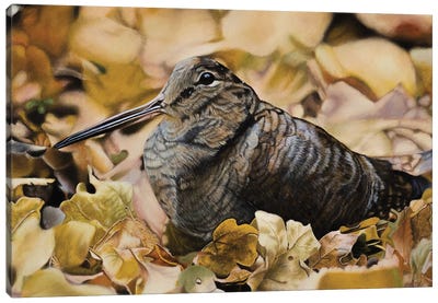 Woodcock Canvas Art Print - Mikhail Vedernikov