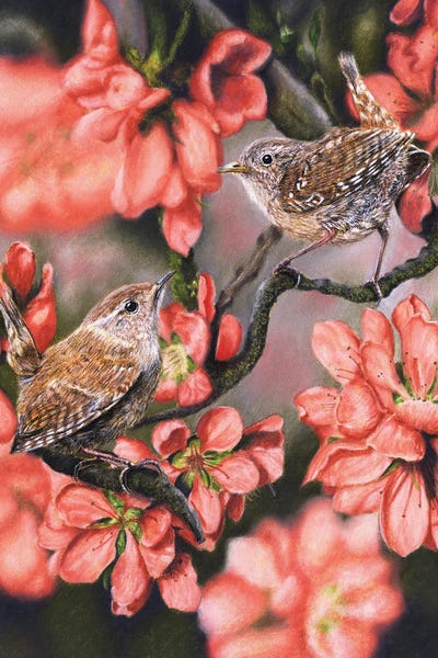 Mikhail Vedernikov: Wrens by Mikhail Vedernikov