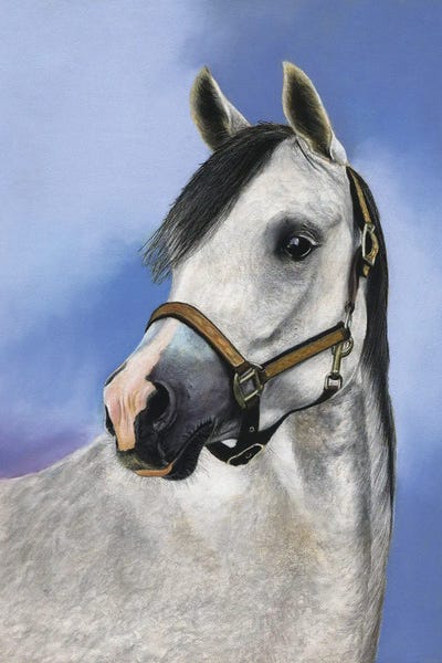 Yallah by Mikhail Vedernikov canvas print