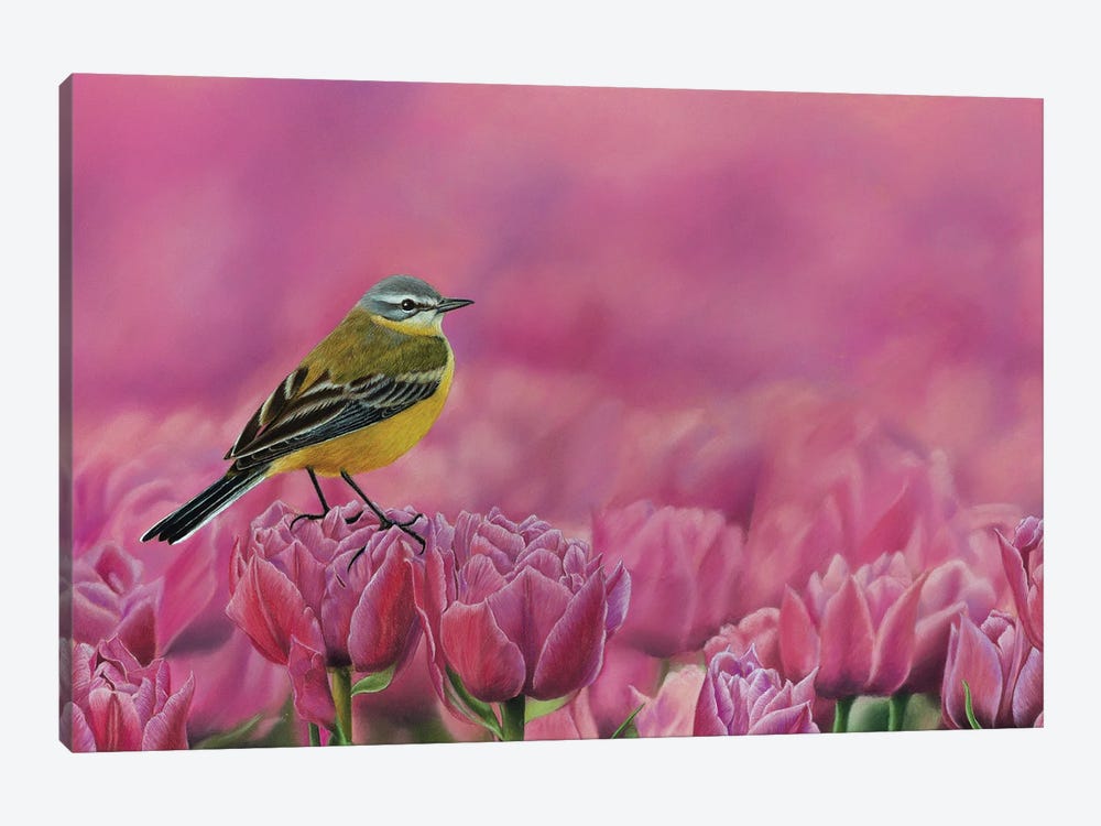 Yellow Wagtail by Mikhail Vedernikov 1-piece Canvas Art Print