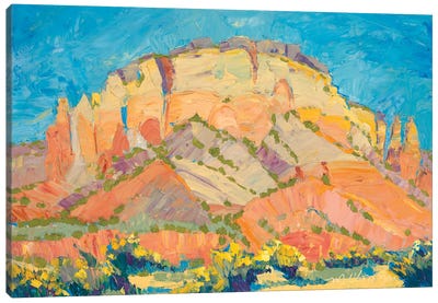 Kitchen Mesa Chamisa Canvas Art Print - New Mexico Art