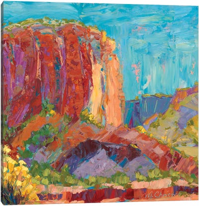 Sticcato Of Morning Light Canvas Art Print - New Mexico Art