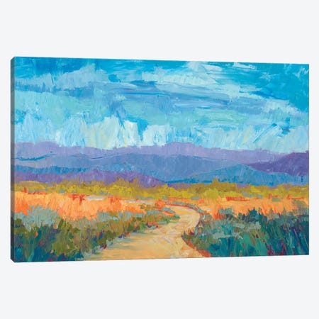 Summer Meadow Canvas Print #MIX15} by Michelle Chrisman Canvas Wall Art