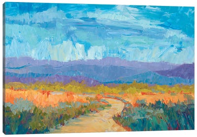 Summer Meadow Canvas Art Print - Plein Air Paintings