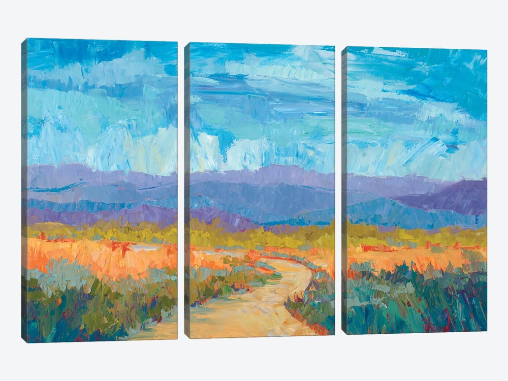 Summer Meadow by Michelle Chrisman 3-piece Canvas Artwork