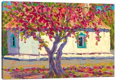 Apple Blossoms at Santa Cruz Chapel Canvas Art Print - Michelle Chrisman