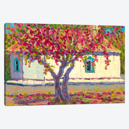 Apple Blossoms at Santa Cruz Chapel Canvas Print #MIX19} by Michelle Chrisman Canvas Print