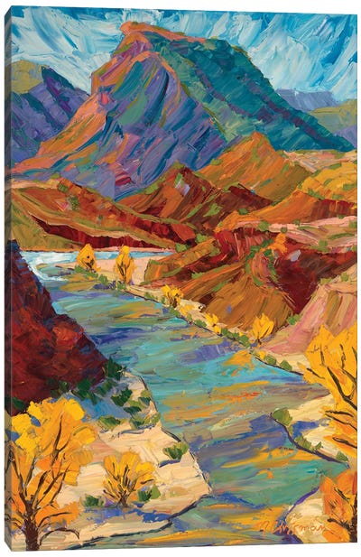 Chama River Patterns In Autumn Canvas Art Print - New Mexico Art