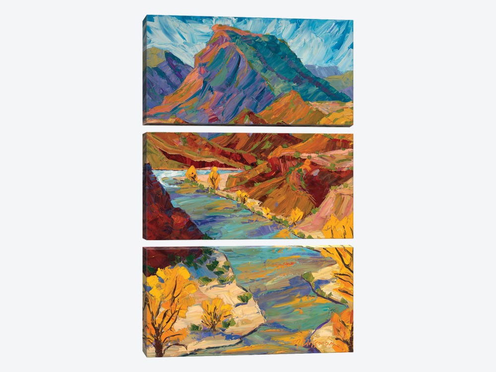 Chama River Patterns In Autumn by Michelle Chrisman 3-piece Canvas Wall Art