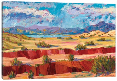 Dos Arroyos Canvas Art Print - New Mexico Art