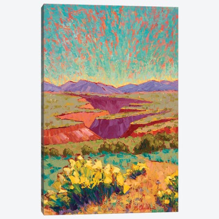 Full Bloom At Taos Gorge Canvas Print #MIX7} by Michelle Chrisman Canvas Art Print