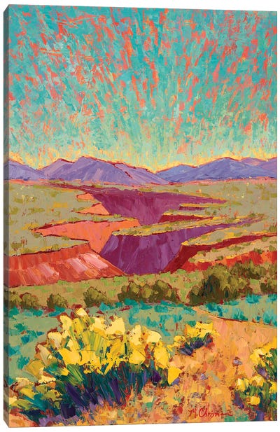 Full Bloom At Taos Gorge Canvas Art Print - Pops of Pink