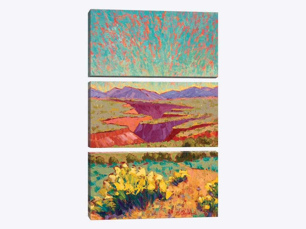 Full Bloom At Taos Gorge by Michelle Chrisman 3-piece Art Print