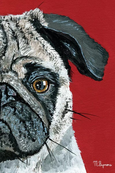 Pugs: Pug a Boo by Melissa Symons