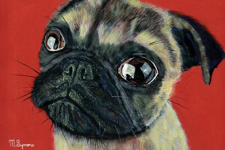 Pugly