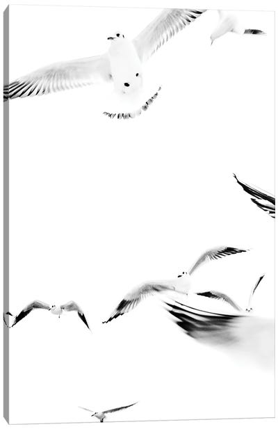 Birds II Canvas Art Print - Magda Izzard