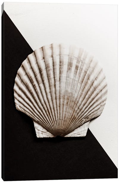 Black And White Shell I Canvas Art Print - Magda Izzard